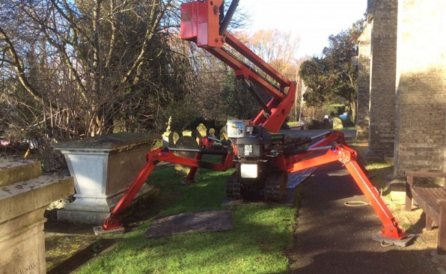 tree surgery in woodbridge