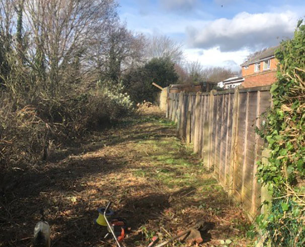 Grounds clearance work in ipswich